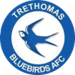 Away team logo