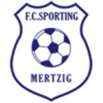 Home Team Logo