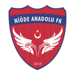 Niğde Anadolu Futbol Kulübü
