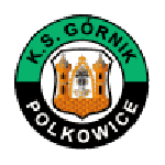 Górnik Polkowice
